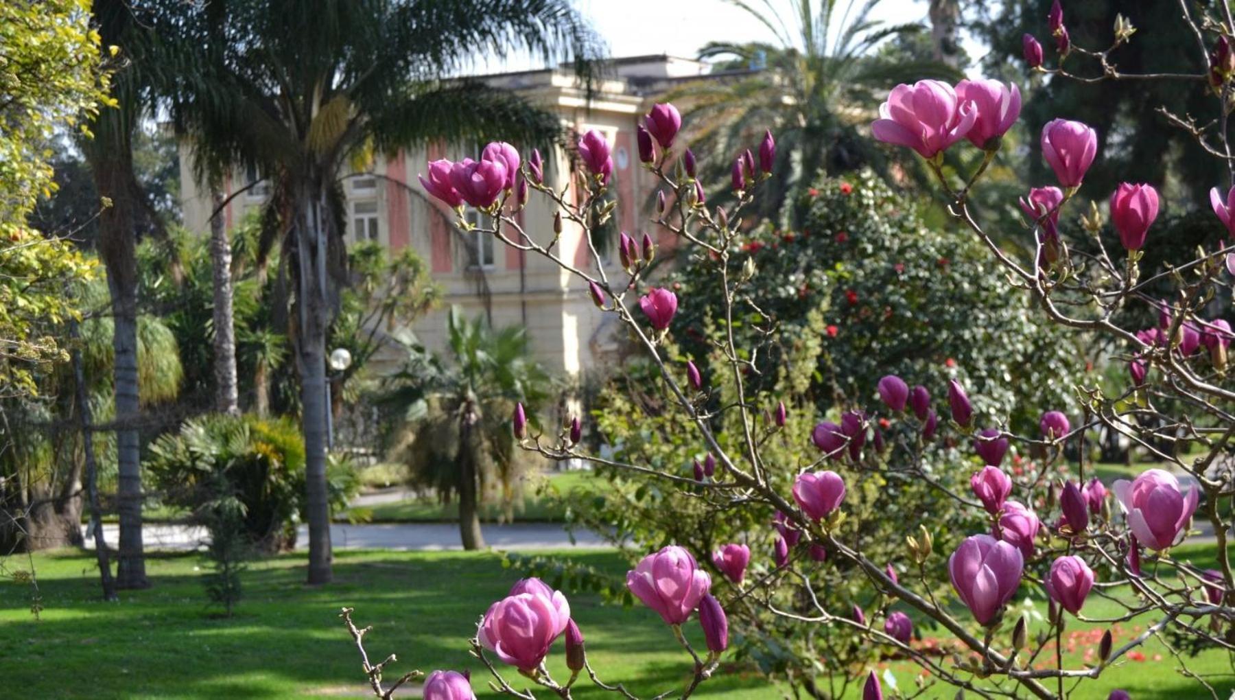 Casina Via Foria Panzió Nápoly Kültér fotó